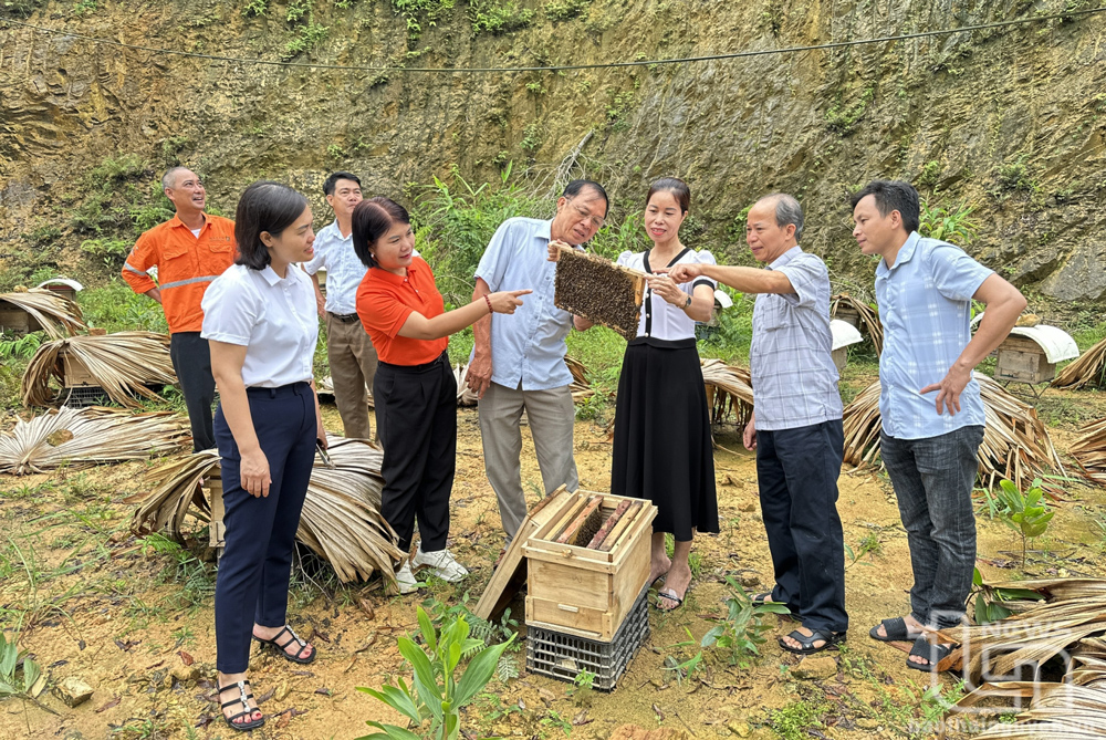 Nơi nông dân nương tựa