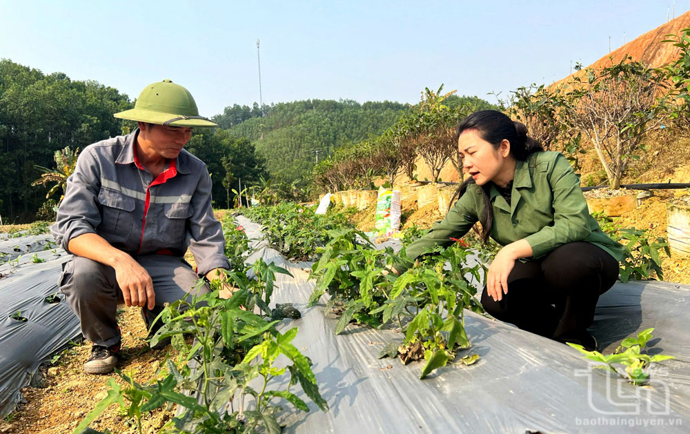 Để nông dân vững bước ra khỏi 'lối mòn'