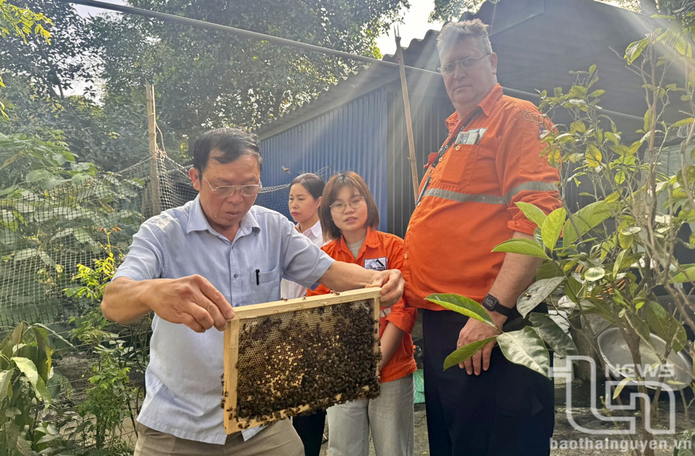 Thời gian qua, Công ty Núi Pháo đã hỗ trợ các hộ nuôi ong về thủ tục, kinh phí... để thành lập THT.