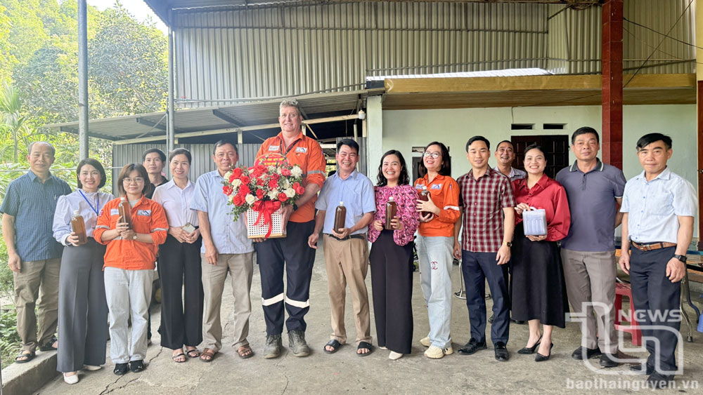 Ra mắt Tổ hợp tác nuôi ong mật thị trấn Hùng Sơn.