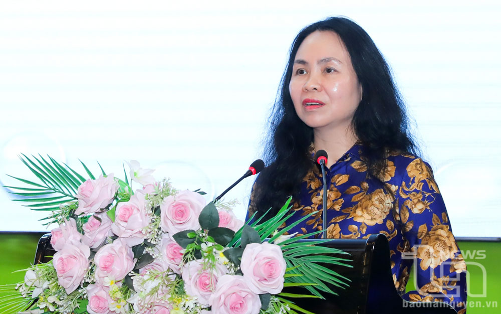 Lãnh đạo Cục Thương mại điện tử và kinh tế số thông tin về chính sách và giải pháp thúc đẩy phát triển TMĐT của Việt Nam