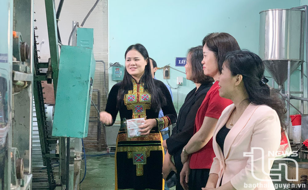 Đại diện các cấp hội phụ nữ trong tỉnh tham quan mô hình phụ nữ khởi nghiệp tại Hợp tác xã Tâm Trà Thái, xã Tân Cương (T.P Thái Nguyên).