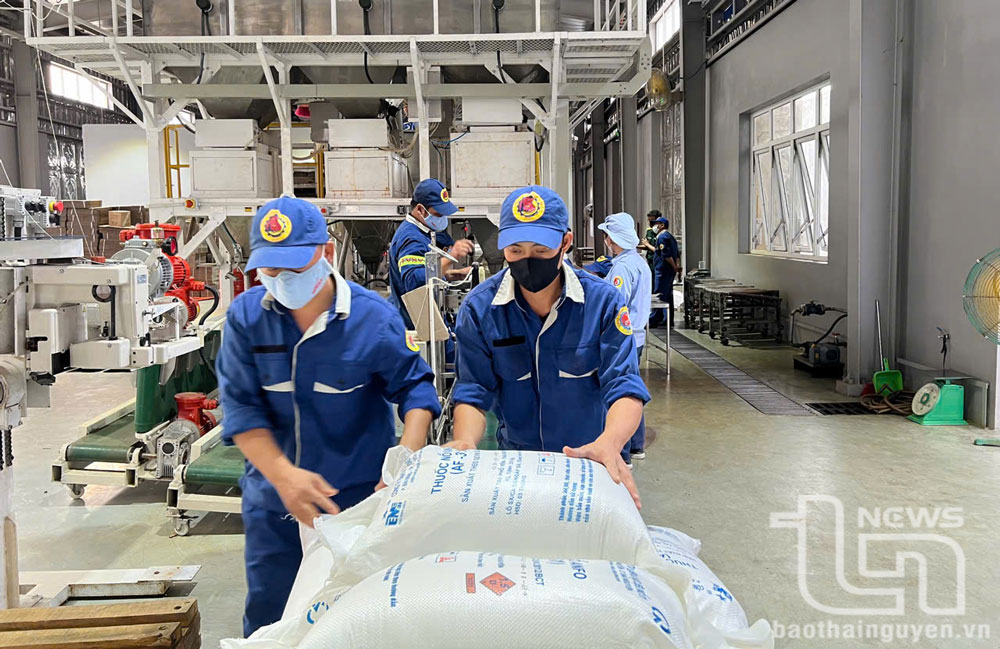Sáng kiến “Nghiên cứu thiết kế, chế tạo dây chuyền sản xuất thuốc nổ ANFO làm nguyên liệu sản xuất thuốc nổ nhũ tương rời và đa dạng hóa sản phẩm vật liệu nổ công nghiệp của Công ty TNHH MTV Cơ điện và Vật liệu nổ 31” được Ban Tổ chức Hội thi Sáng tạo kỹ thuật tỉnh năm 2023-2024 đánh giá cao.