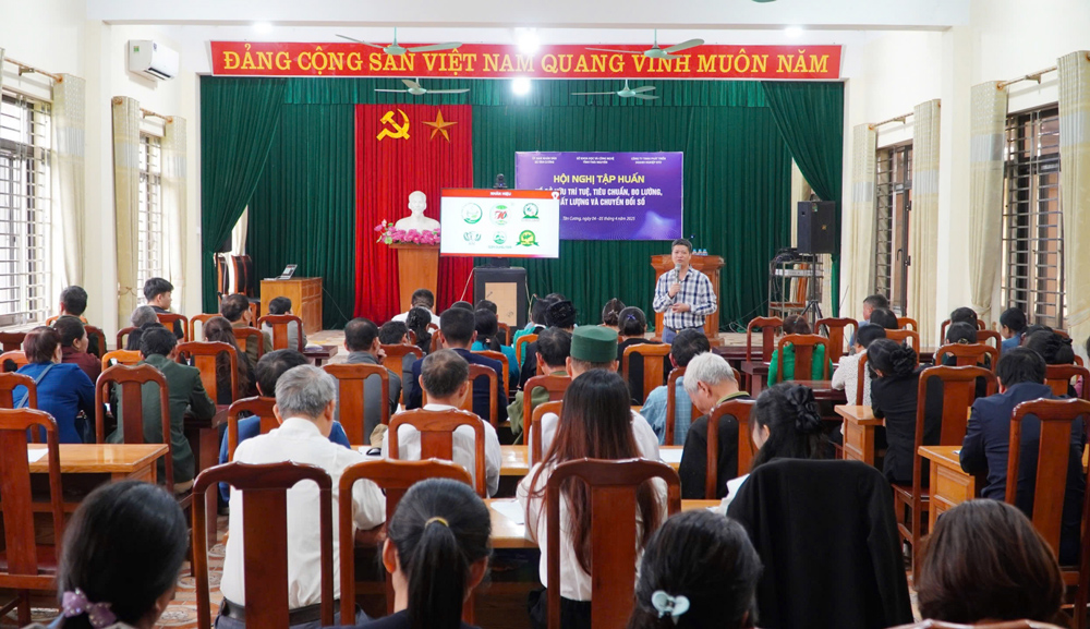 Bồi dưỡng kiến thức về sở hữu trí tuệ, chuyển đổi số
