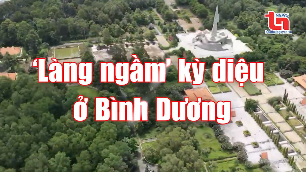 ‘Làng ngầm’ kỳ diệu ở Bình Dương