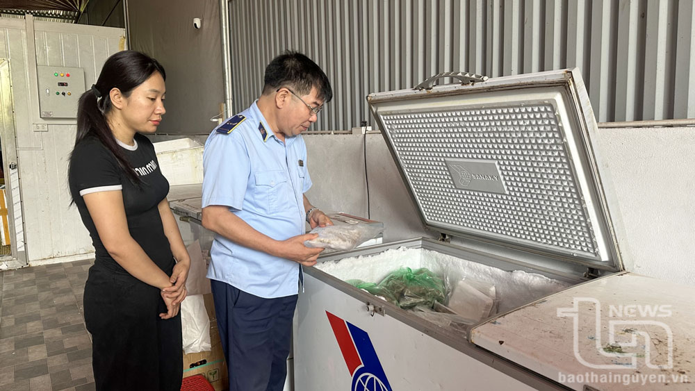 Phát hiện, thu giữ 649kg thực phẩm đông lạnh không rõ nguồn gốc