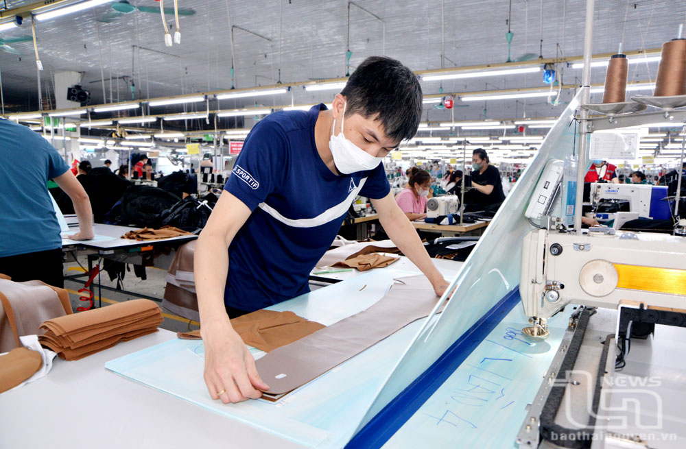 Mỹ tạm dừng áp thuế đối ứng: Doanh nghiệp đẩy nhanh xuất khẩu