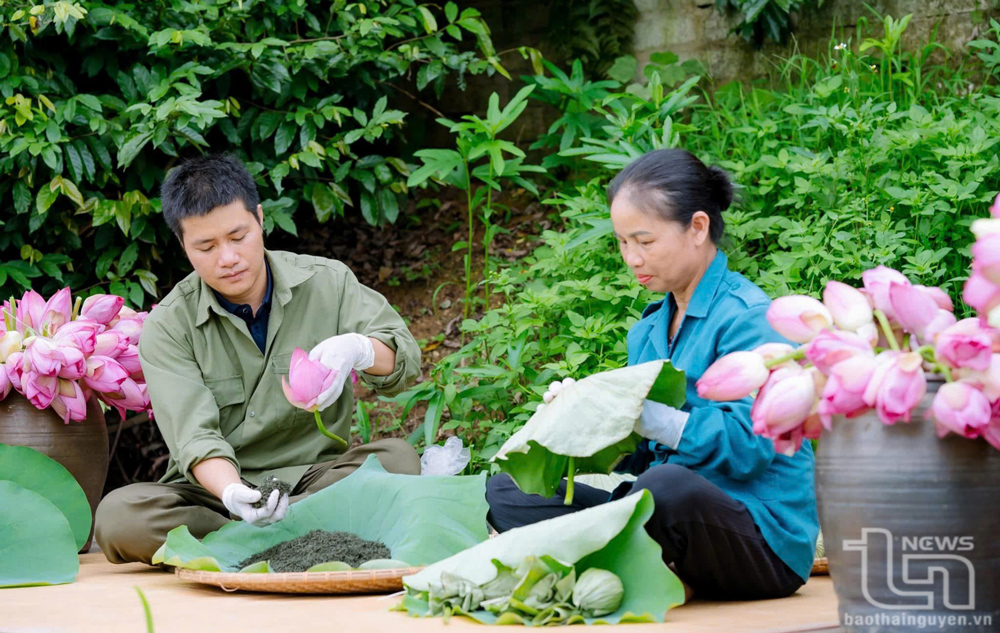 Kiên nhẫn giữ hương trà Việt
