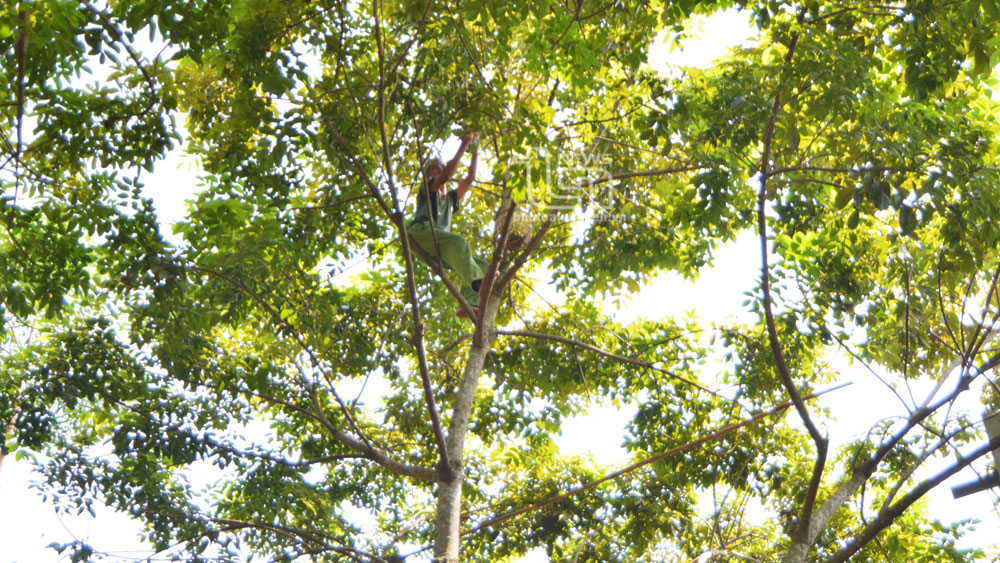 Hà Châu, một miền thương nhớ