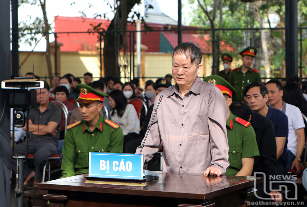 Bị cáo Nguyễn Văn Thắng, nguyên Giám đốc Công ty TNHH MTV Tiến Mạnh Lai Châu, trả lời câu hỏi của Hội đồng xét xử tại phiên tòa.