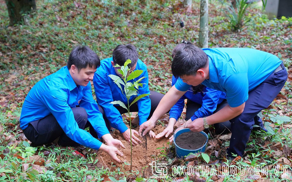 Ngày thứ Bảy tình nguyện ở Đồng Hỷ