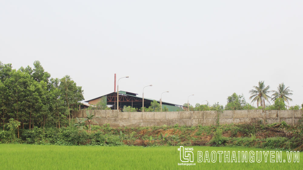 Vấn đề môi trường ở phường Hương Sơn: Cơ sở cam kết không gây ô nhiễm