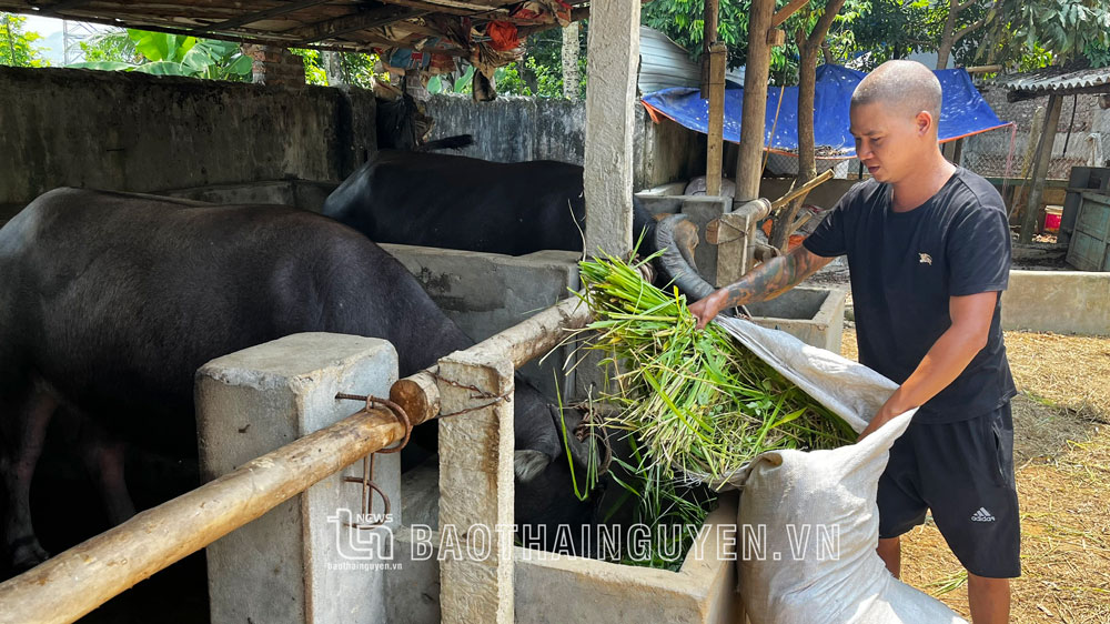 Ngành Nông nghiệp ứng phó với thời tiết bất lợi