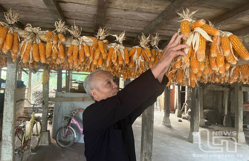“Già làng” uy tín ở Tân Đô