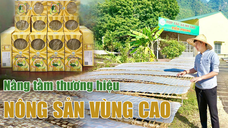 Nâng tầm thương hiệu nông sản vùng cao