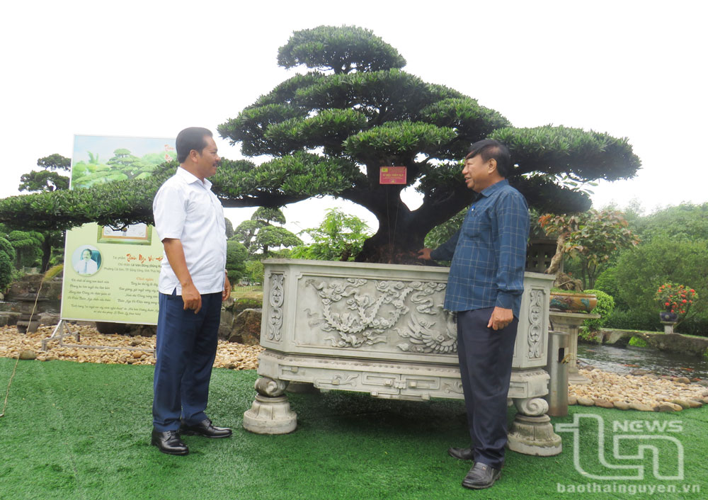 Các hội viên thường xuyên trao đổi kinh nghiệm, nâng cao kiến thức về sinh vật cảnh.