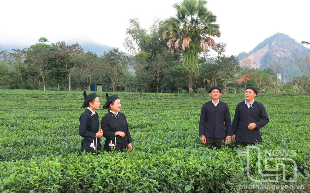 Hòa Bình xây dựng nông thôn mới nâng cao