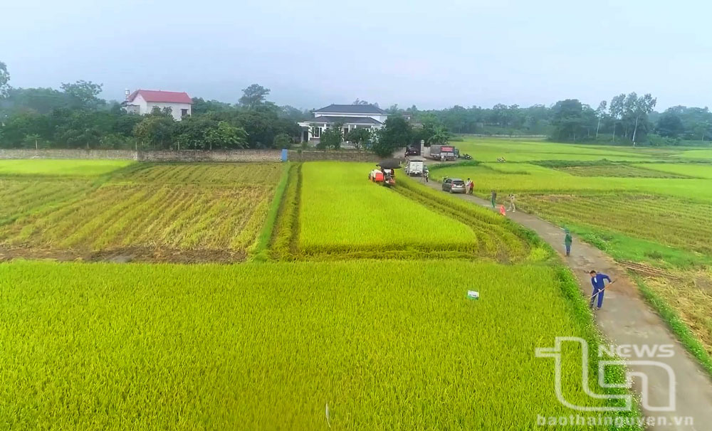 Sức bật “tam nông” ở thành phố công nghiệp, kỳ I: Ý Đảng hợp lòng dân