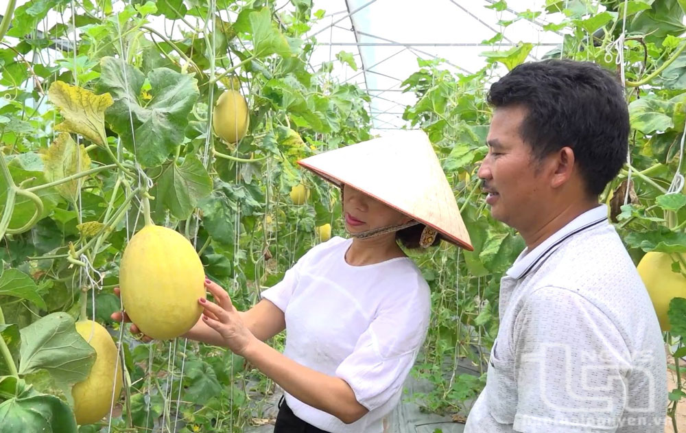 Sức bật “tam nông” ở thành phố công nghiệp, Kỳ II: Hướng tới nền nông nghiệp đô thị