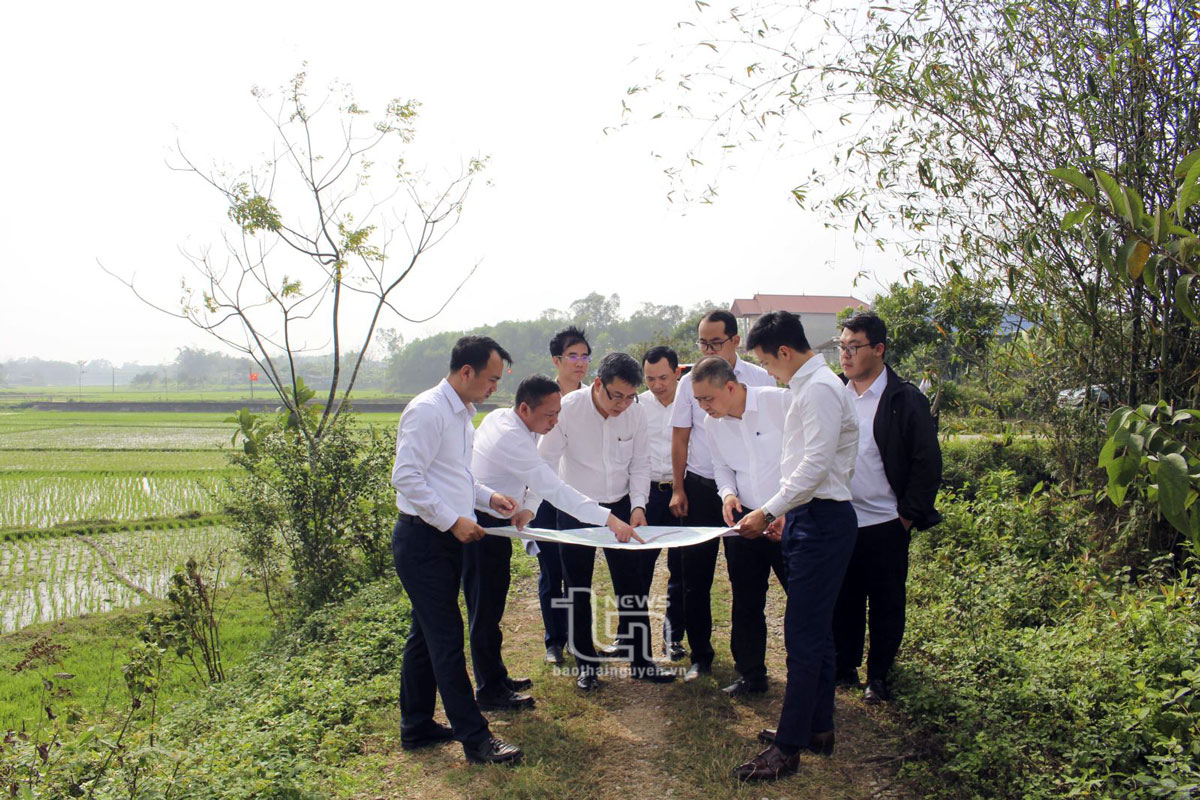 Lãnh đạo Tổng Công ty Điện lực miền Bắc khảo sát hiện trường tại huyện Phú Bình để triển khai Dự án TBA 220kV Phú Bình 2 và đường dây 220kV Phú Bình 2 rẽ Thái Nguyên - Bắc Giang.