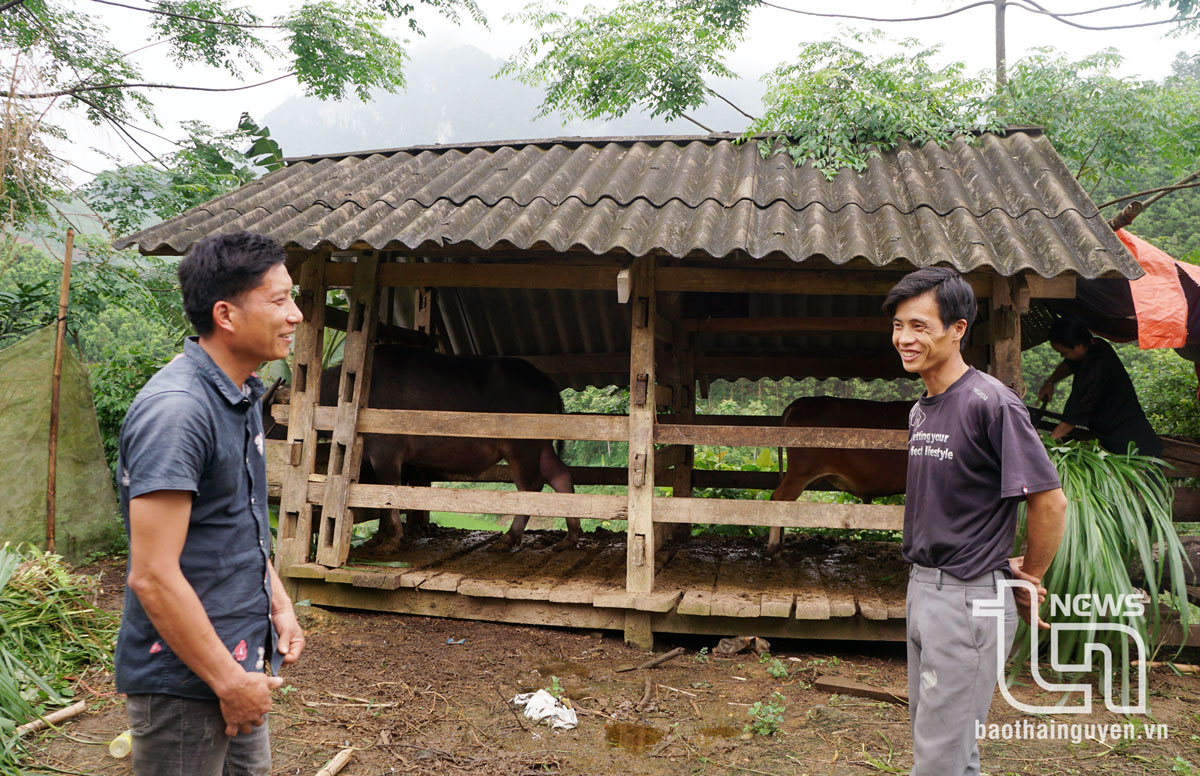 Khát vọng Khuổi Mèo