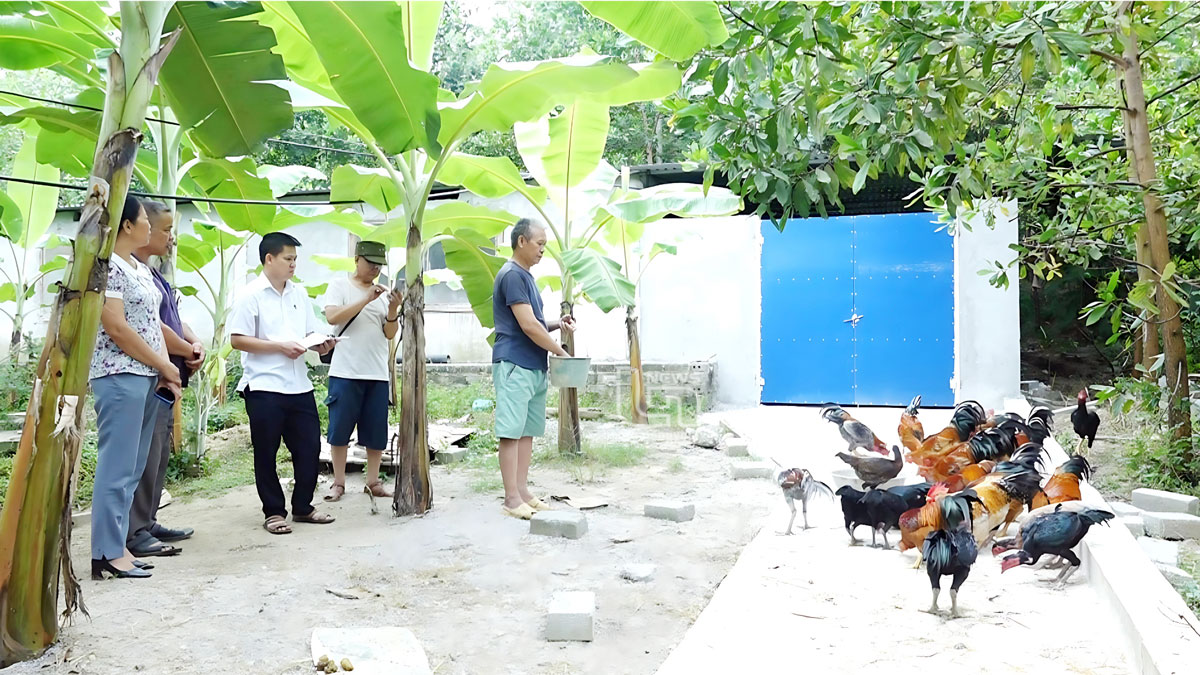 Phú Lương: Phân bổ trên 34 tỷ đồng hỗ trợ đồng bào dân tộc thiểu số và miền núi