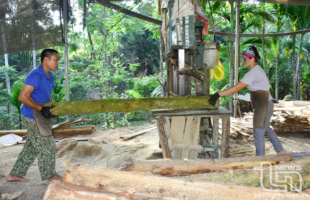 Vợ chồng anh Vũ Văn Trường, xóm Bản Cái, xã Yên Trạch (Phú Lương), có thu nhập hơn 10 triệu đồng/tháng từ công việc xẻ gỗ ở gần nhà.