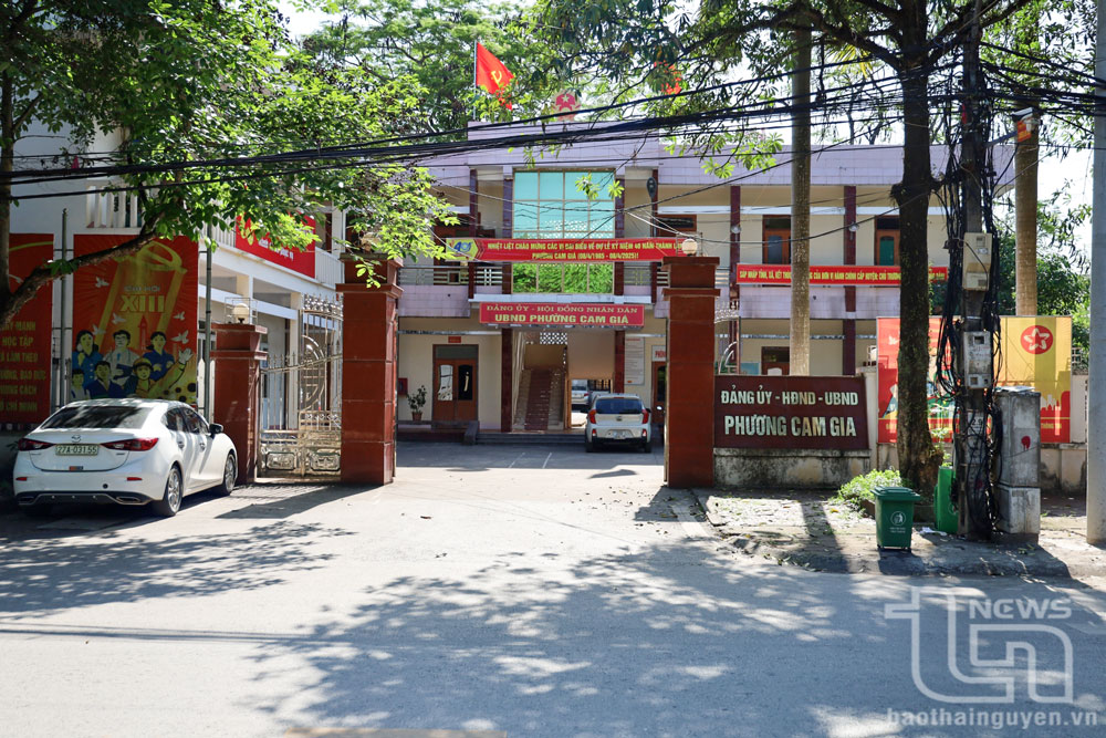 Phường Gia Sàng được thành lập trên cơ sở nhập 4 phường, xã: Hương Sơn, Gia Sàng, Đồng Liên, Cam Giá; có diện tích 25,62 km2, quy mô dân số 43.894 người; trung tâm hành chính đặt tại phường Cam Giá hiện nay.