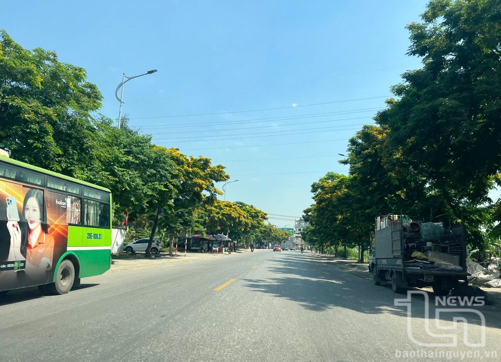 Tăng mật độ cây xanh cho thành phố công nghiệp