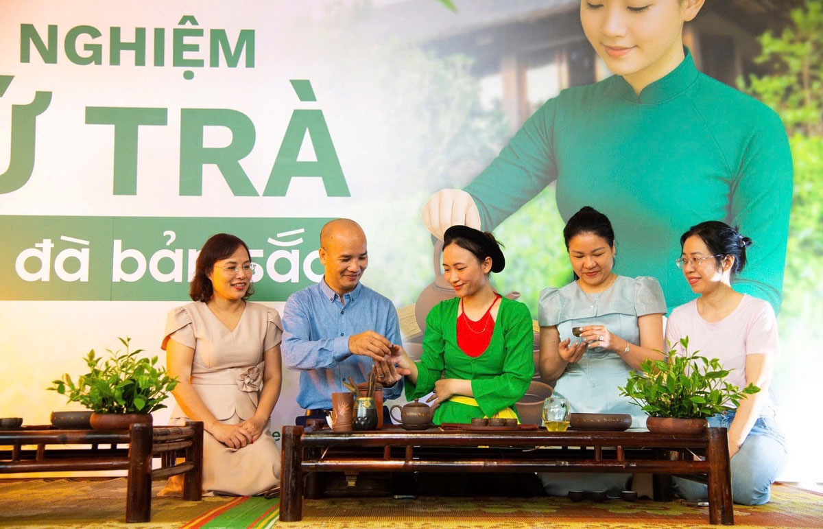 Thưởng trà Tân Cương (Thái Nguyên) ở farmstay