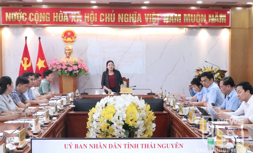 Đồng chí Nguyễn Thị Loan, Phó Chủ tịch UBND tỉnh, Trưởng Ban Chỉ đạo 389 của tỉnh, chủ trì Hội nghị.