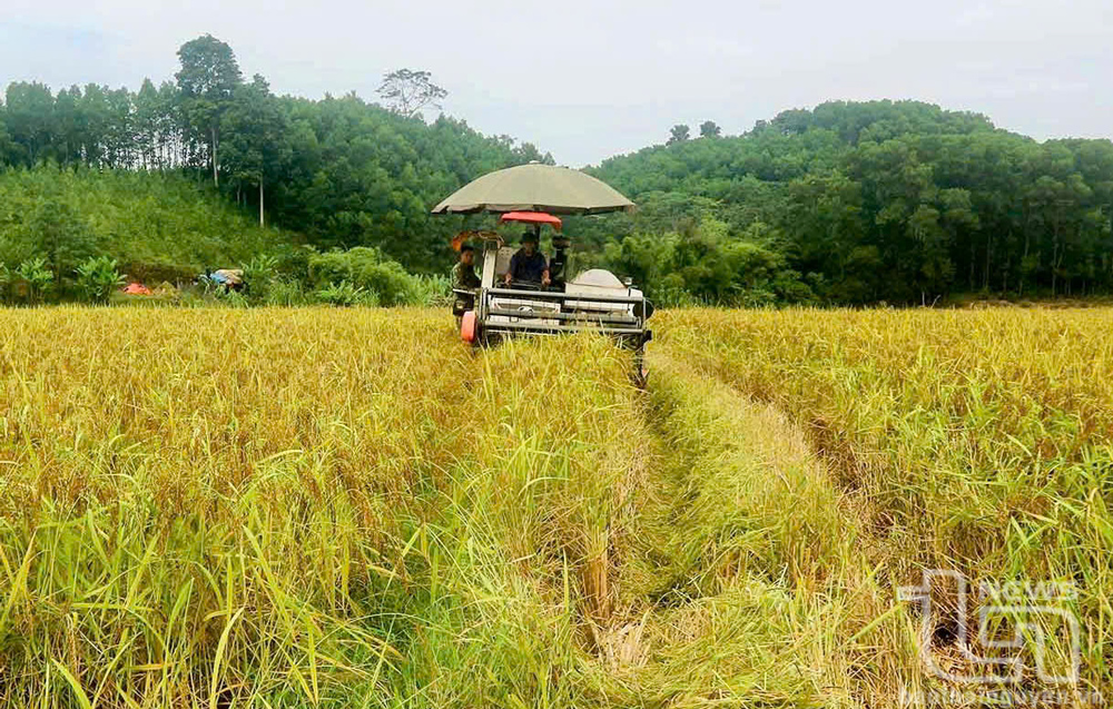 Hiệu ứng hai chiều từ cơ giới hóa nông nghiệp