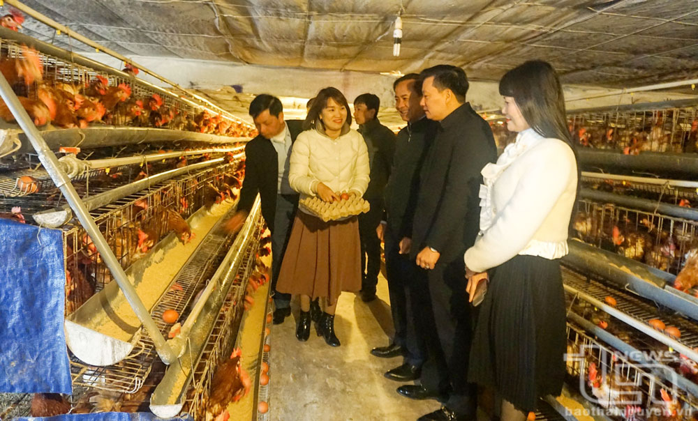 Nhiều hộ chăn nuôi ở xã Linh Sơn (TP. Thái Nguyên) đã đưa công nghệ số vào các khâu như: cung cấp thức ăn và nước uống tự động, hệ thống nước làm mát tự động, camera giám sát 24/7...
