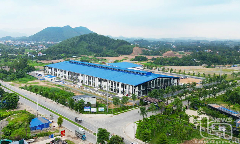Tạo động lực cho công nghiệp địa phương