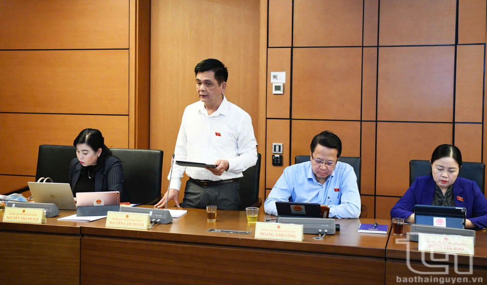 Đại biểu Nguyễn Lâm Thành (Đoàn đại biểu Quốc hội tỉnh Thái Nguyên) tham gia ý kiến thảo luận.