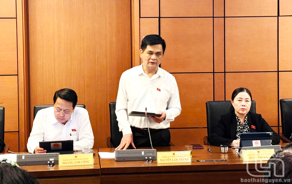 Đại biểu Nguyễn Lâm Thành (Đoàn đại biểu Quốc hội tỉnh Thái Nguyên) phát biểu thảo luận.