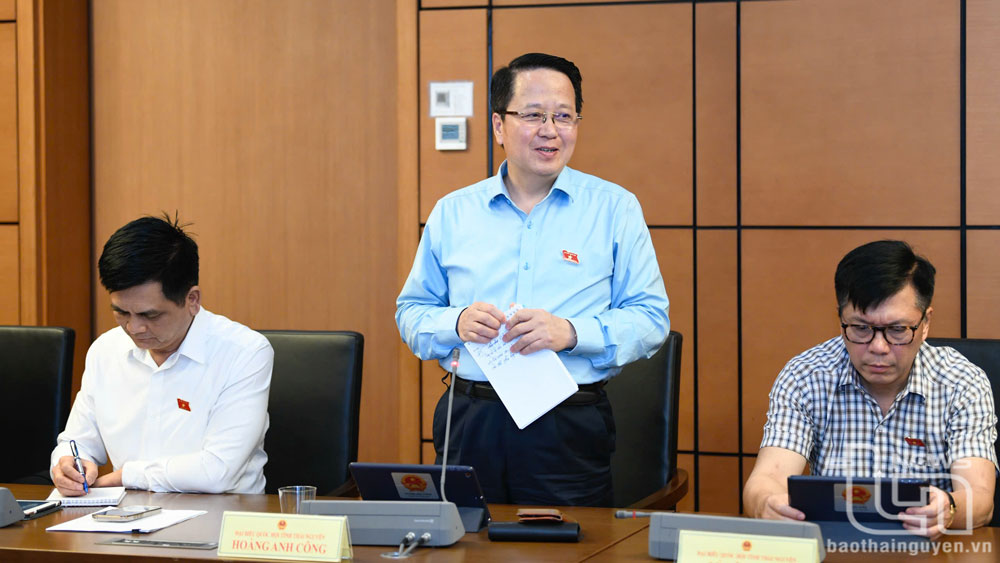 Đại biểu Quốc hội quan tâm các cơ chế, chính sách phát triển kinh tế tư nhân