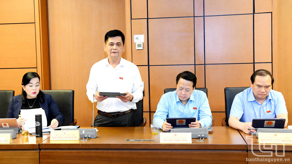 Đại biểu Nguyễn Lâm Thành (Đoàn đại biểu Quốc hội tỉnh Thái Nguyên) tham gia ý kiến thảo luận.