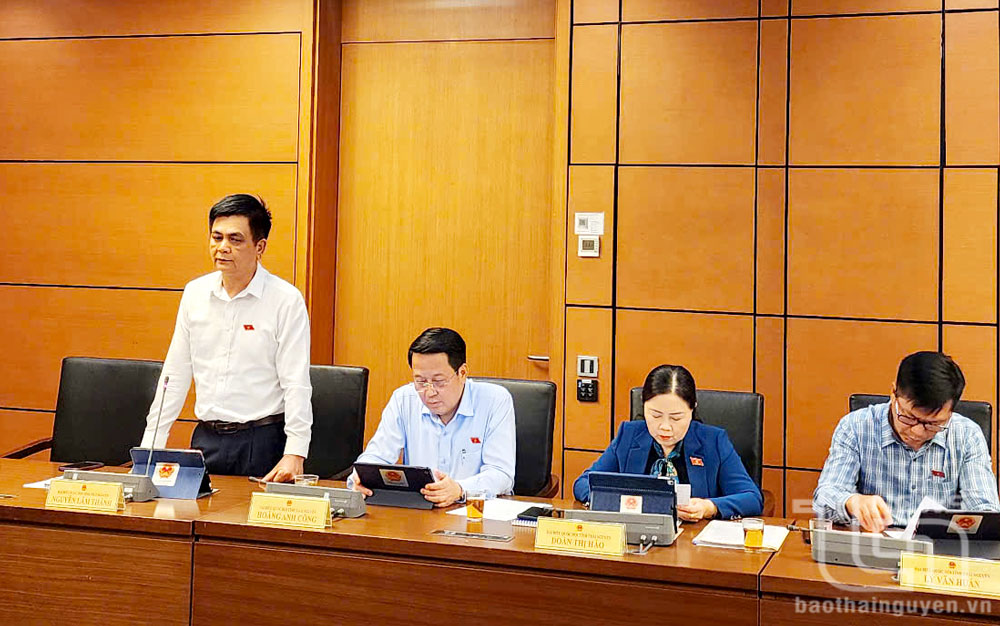 Đại biểu Nguyễn Lâm Thành (Đoàn đại biểu Quốc hội tỉnh Thái Nguyên) tham gia thảo luận tổ.