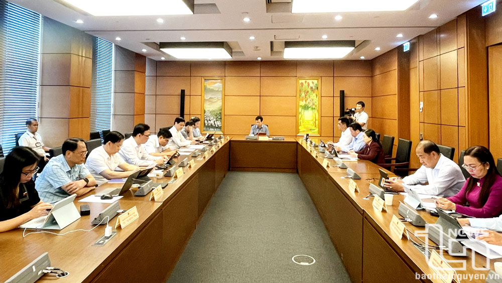 Các đoàn đại biểu Quốc hội thảo luận tại tổ.