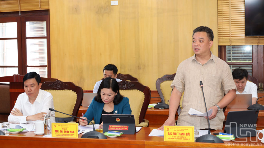 Các đại biểu phát biểu ý kiến.