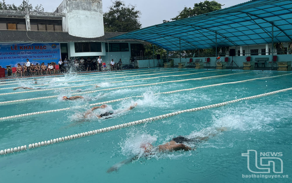 381 vận động viên tranh tài tại Giải bơi học sinh phổ thông tỉnh Thái Nguyên