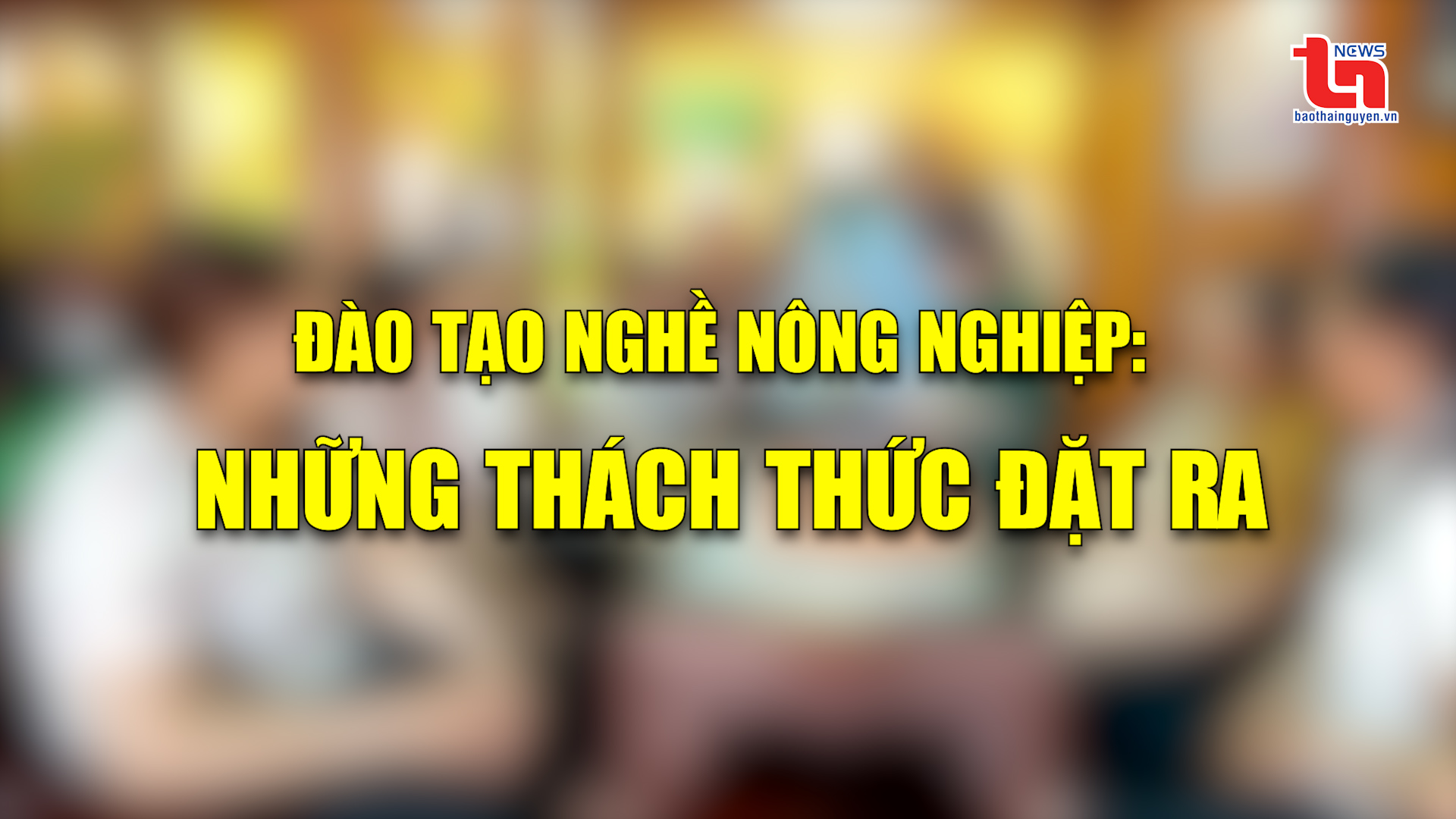 Góc nhìn cuối tuần ngày 25/5/2025: Đào tạo nghề nông nghiệp: Những thách thức đặt ra