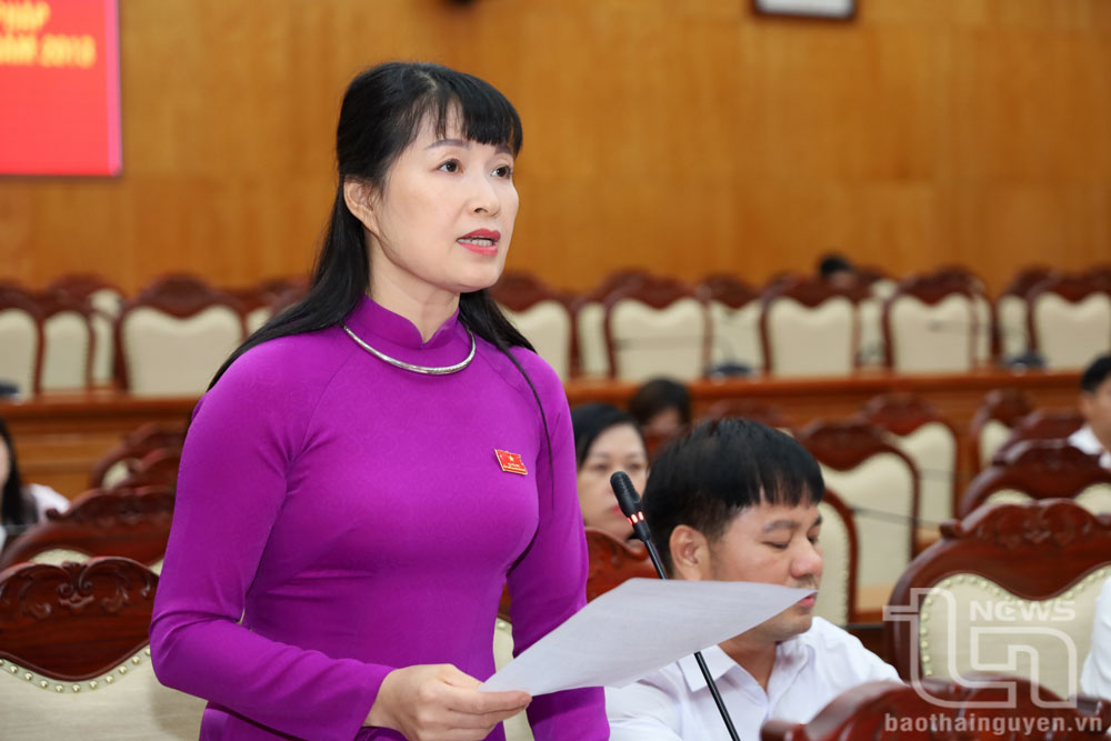 Đại biểu phát biểu ý kiến tại Hội nghị.