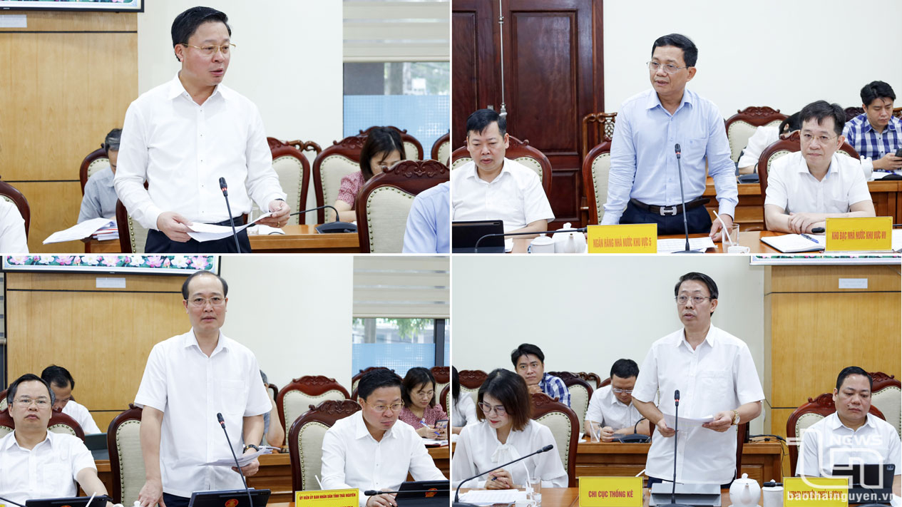 Các đại biểu phát biểu tại Phiên họp.