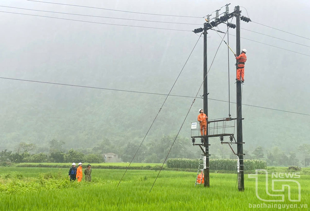 Xử lý nghiêm các trường hợp vi phạm gây thiệt hại cho lưới điện