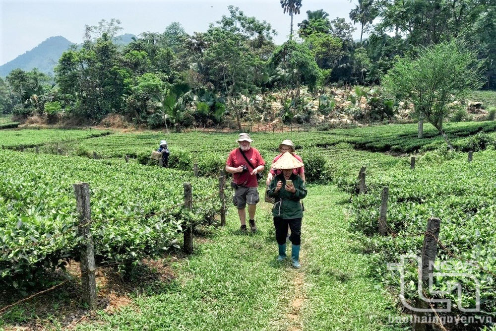 Du khách nước ngoài tham gia trải nghiệm lao động sản xuất cùng nông dân.
