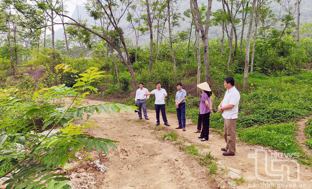 Lãnh đạo UBND huyện Võ Nhai, UBND xã Dân Tiến và Công ty TNHH Bê tông xây dựng Việt Cường kiểm tra tuyến đường gần khu vực khai thác cát sỏi.