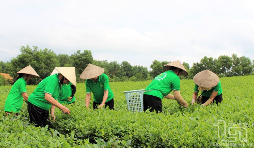 TP. Phổ Yên: Hỗ trợ các làng nghề phát triển sản xuất