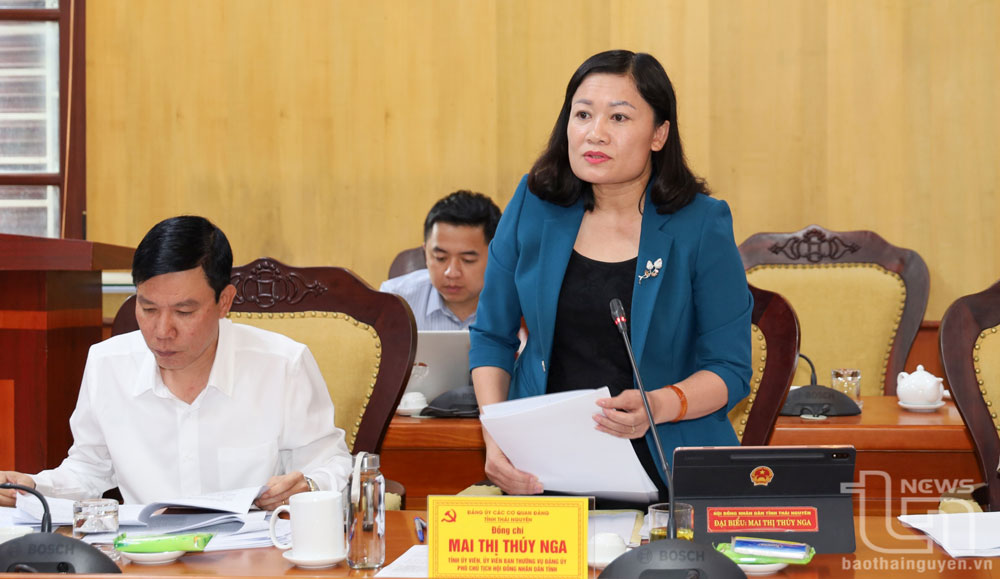 Đồng chí Mai Thị Thúy Nga, Phó Chủ tịch HĐND tỉnh phát biểu ý kiến